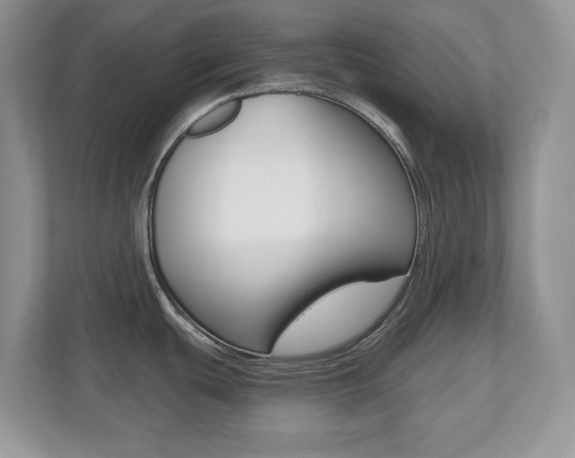 X0000112541439200908171156