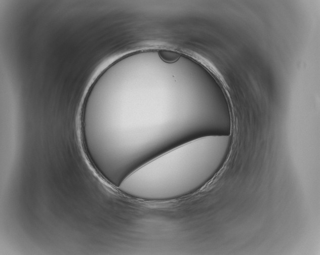 X0000112541440200908171156