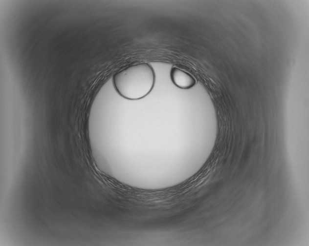 X0000112541441200908171156