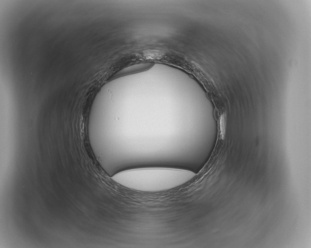 X0000112541443200908171156