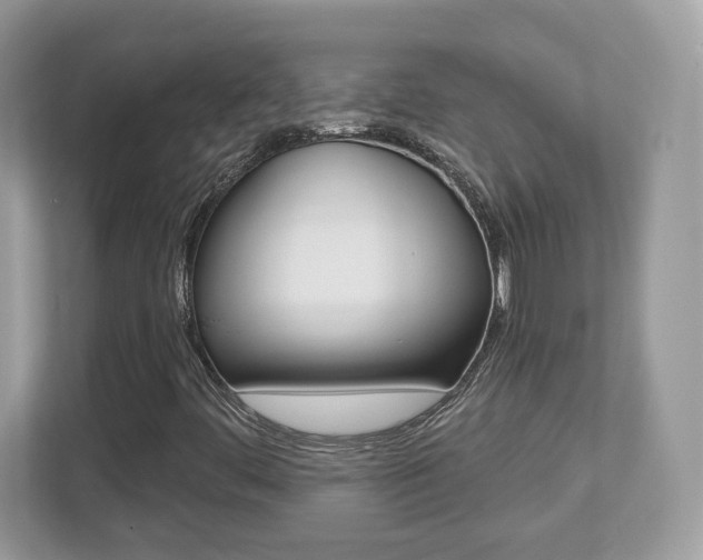 X0000112541444200908171156