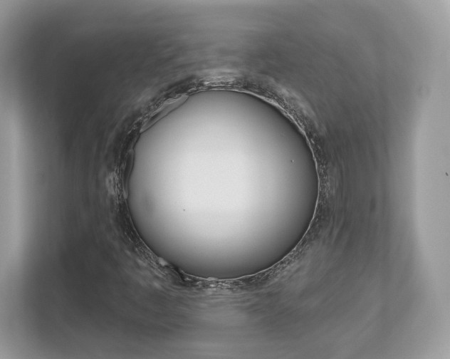 X0000112541445200908171156