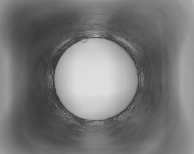 X0000112541446200908171156