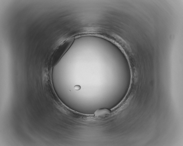 X0000112541449200908171156