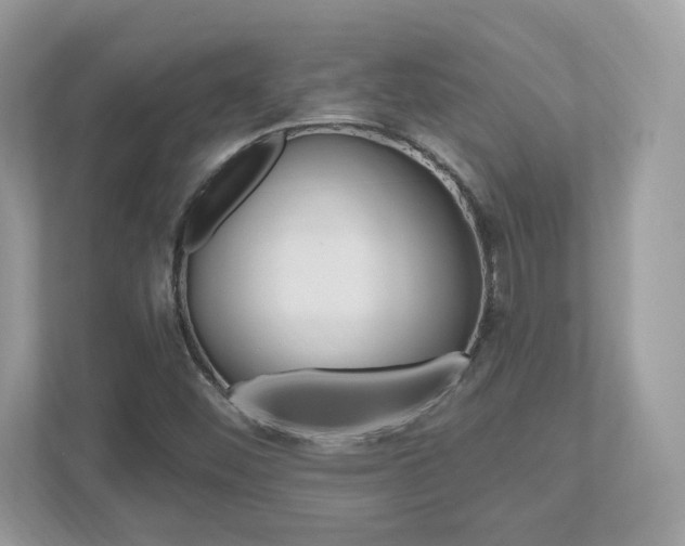 X0000112541452200908171156