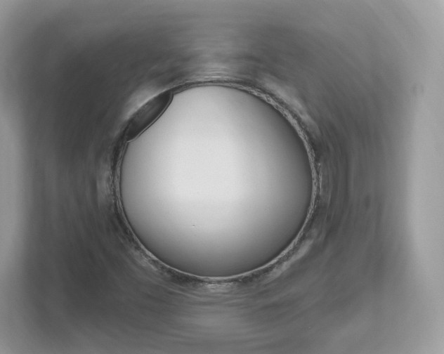 X0000112541453200908171156