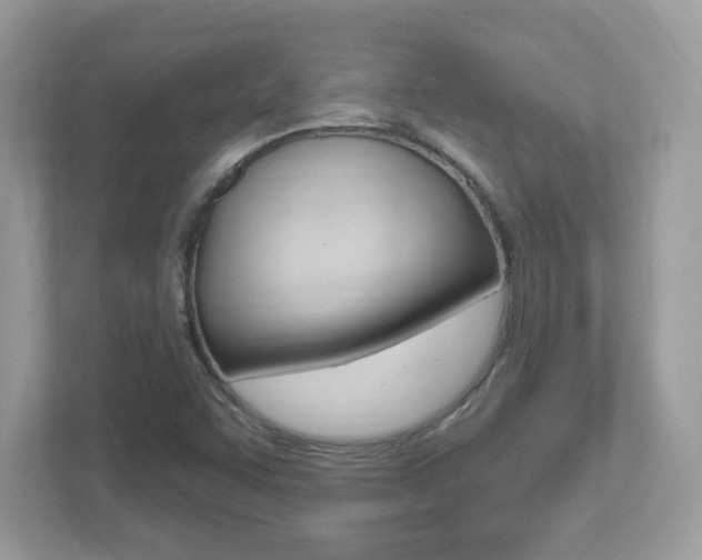X0000112541455200908171156