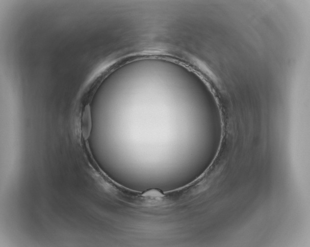 X0000112541456200908171156