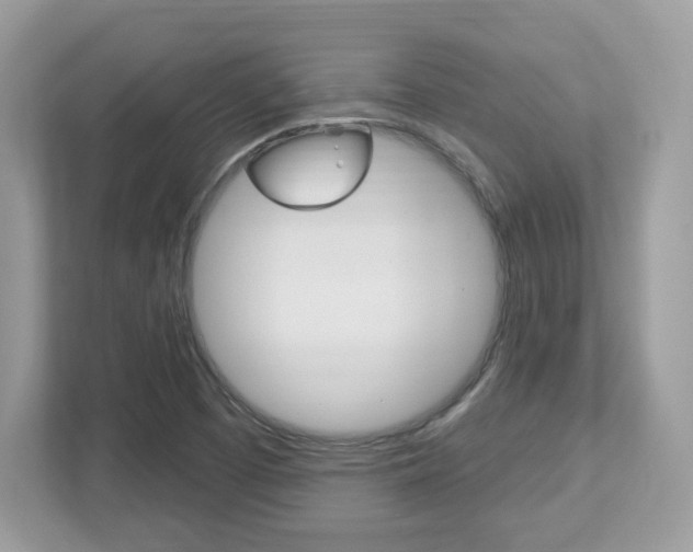 X0000112541457200908171155