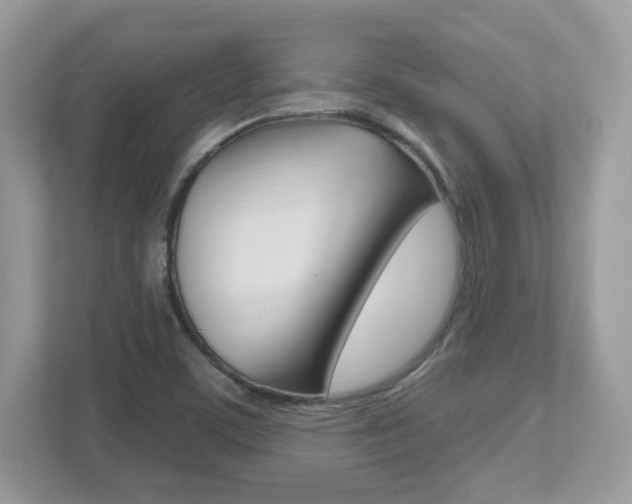 X0000112541459200908171155