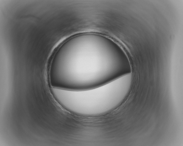 X0000112541460200908171155