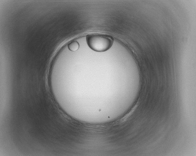 X0000112541461200908171155