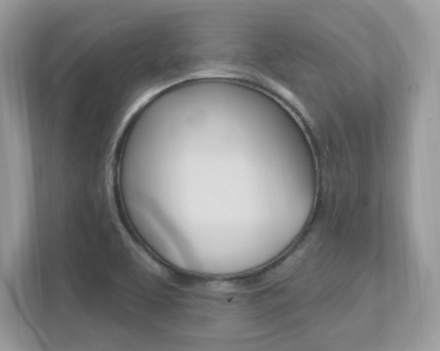 X0000112541463200908171155