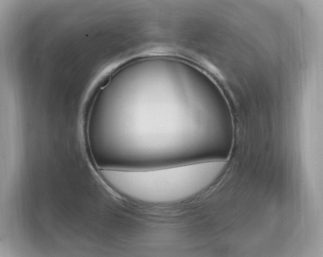 X0000112541464200908171155