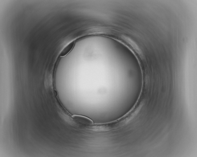 X0000112541465200908171155
