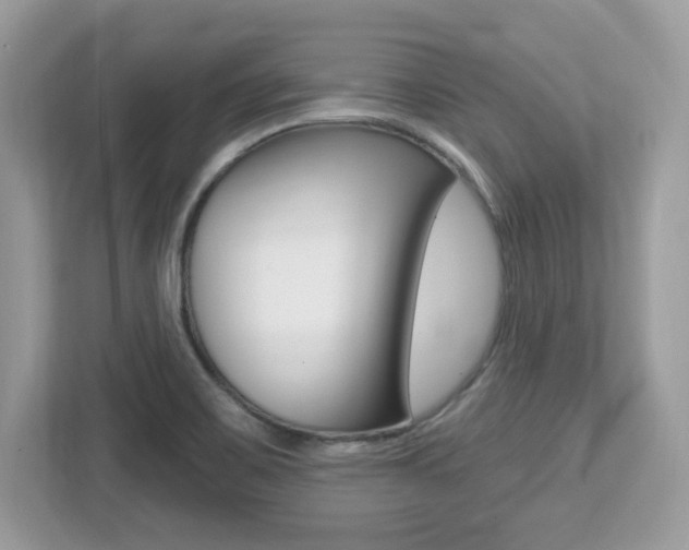 X0000112541467200908171155