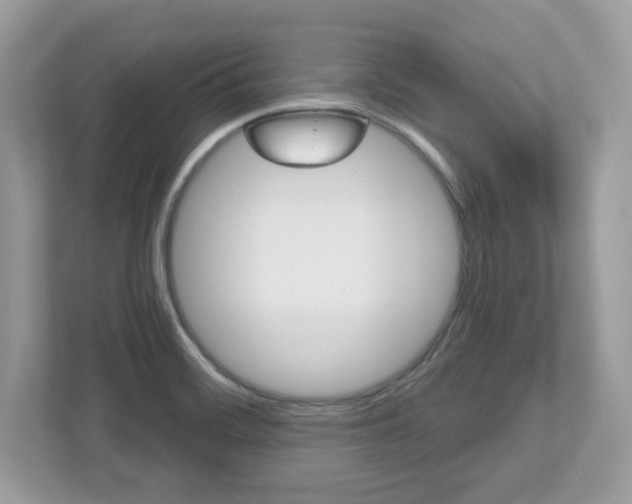 X0000112541468200908171155
