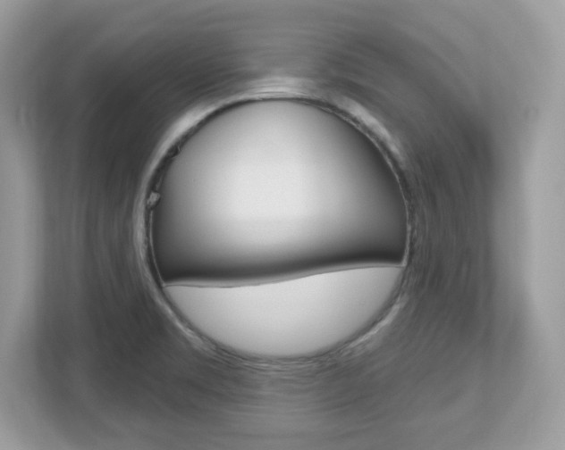 X0000112541469200908171155