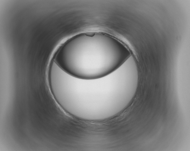 X0000112541472200908171155