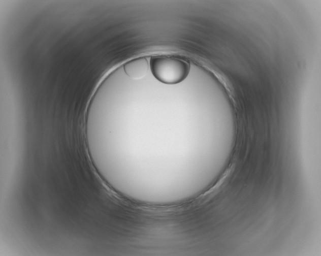 X0000112541473200908171155