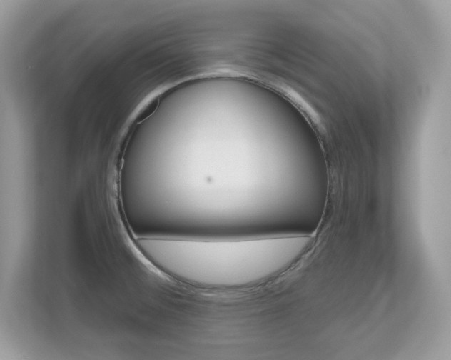 X0000112541476200908171155