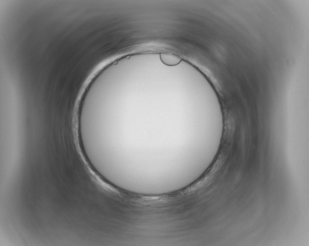 X0000112541478200908171155