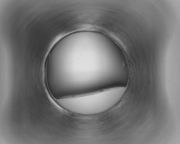 X0000112541479200908171155