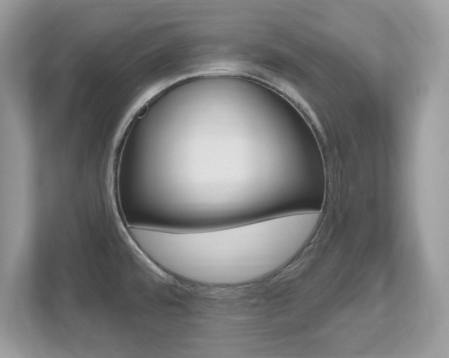 X0000112541480200908171155