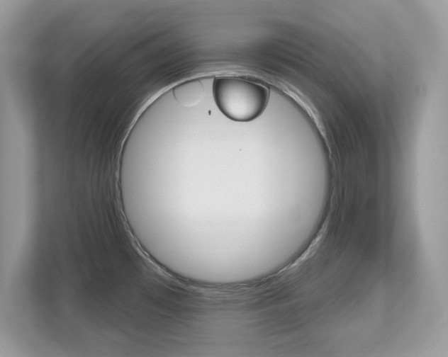 X0000112541481200908171155