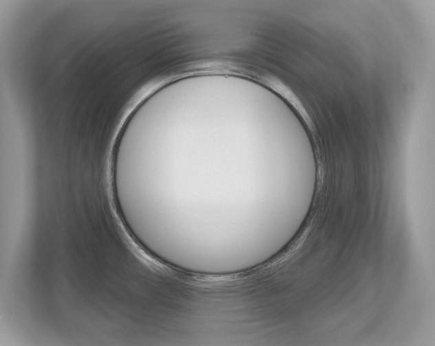 X0000112541482200908171155