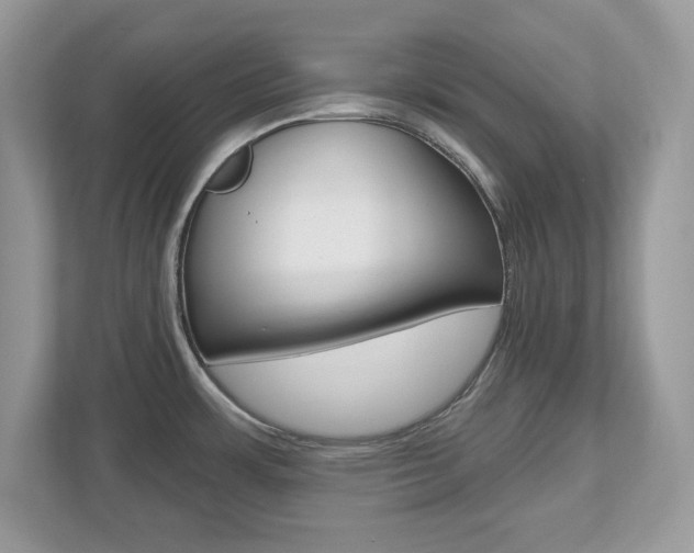 X0000112541483200908171155