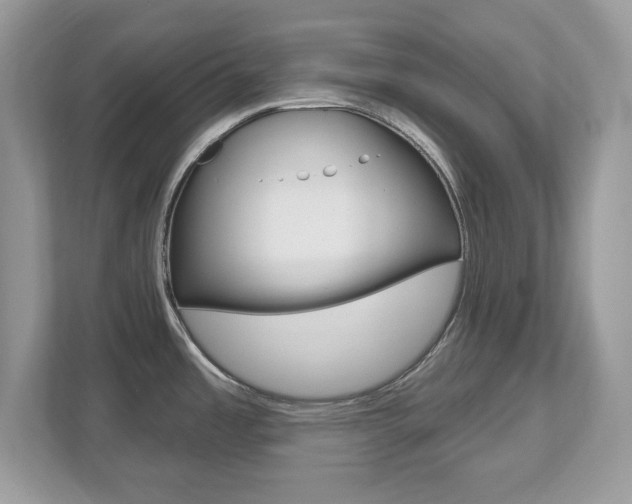 X0000112541485200908171155