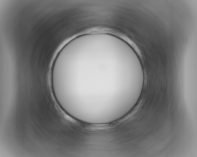 X0000112541486200908171155