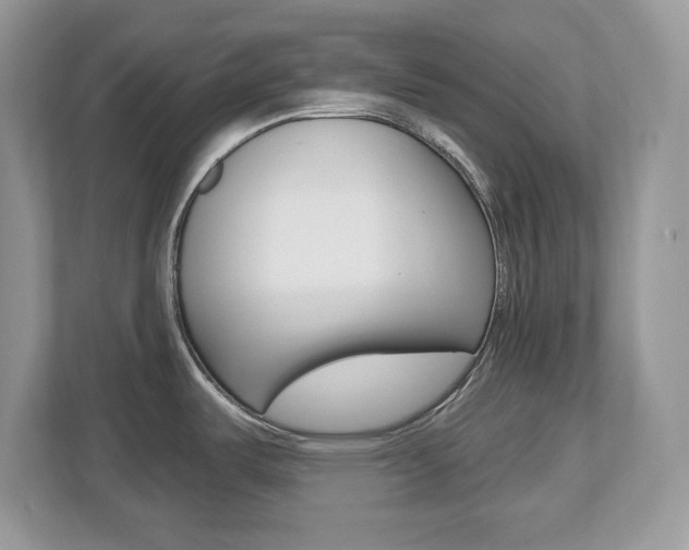 X0000112541487200908171155