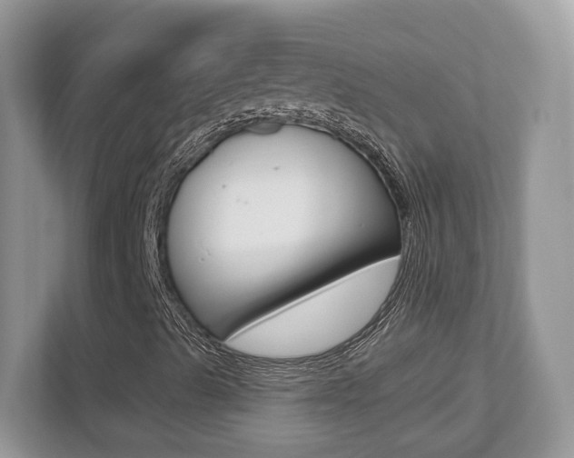 X0000112541489200908171154