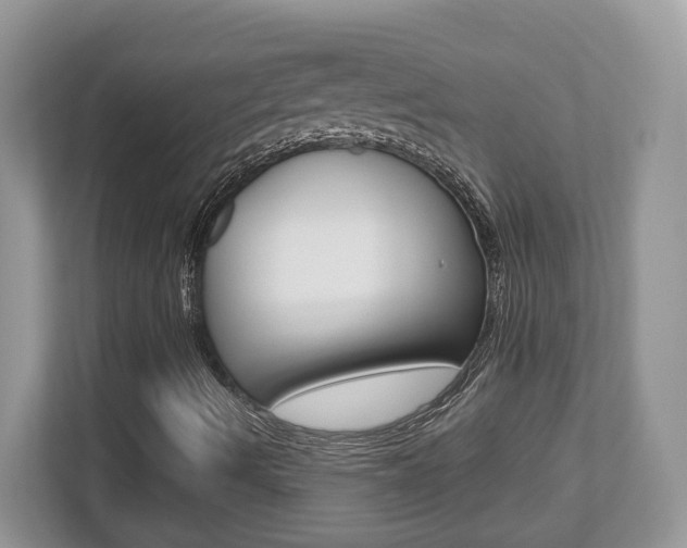 X0000112541490200908171154