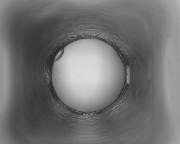 X0000112541491200908171154