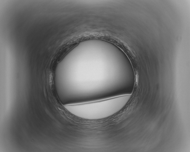 X0000112541492200908171155