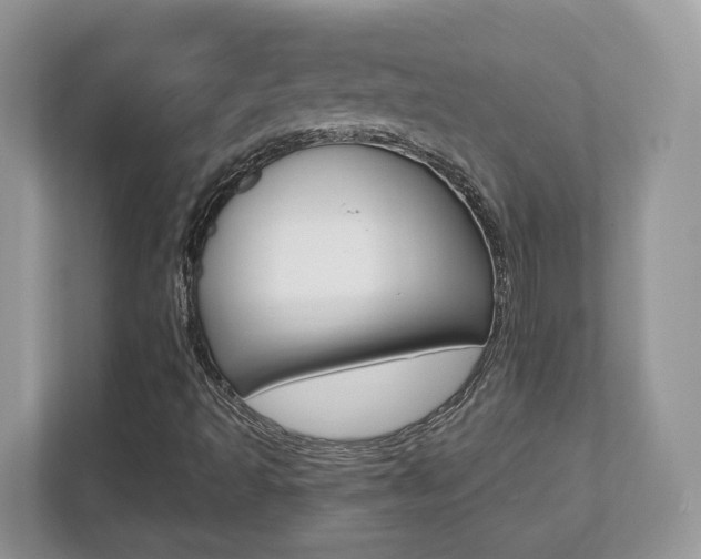 X0000112541493200908171155