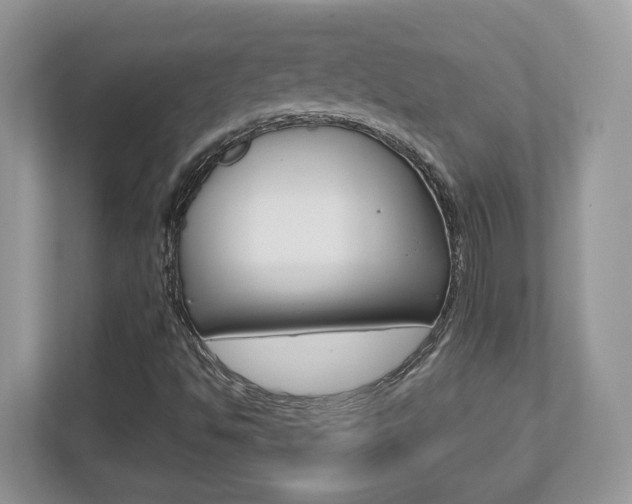 X0000112541494200908171155