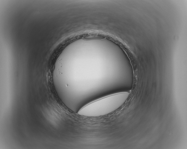 X0000112541495200908171155