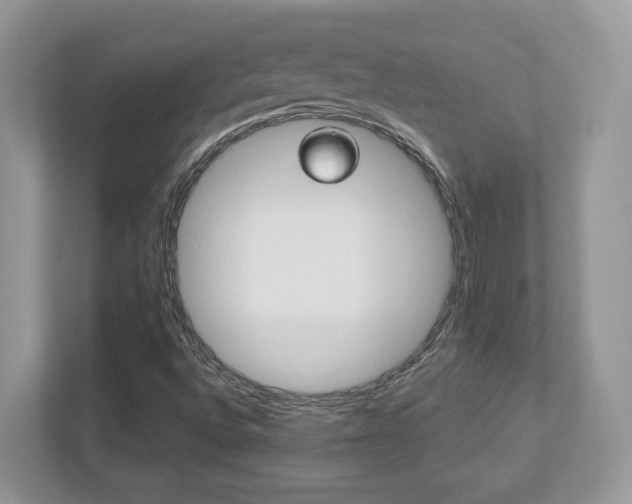X0000112541496200908171155
