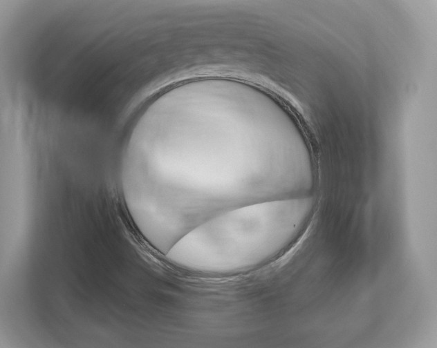 X0000112541498200908171155