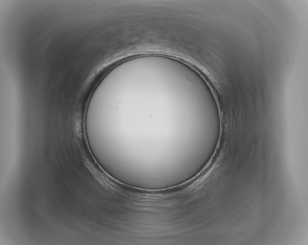 X0000112541499200908171155
