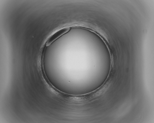 X0000112541500200908171155