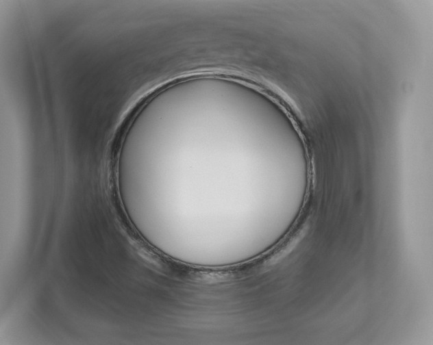 X0000112541501200908171155