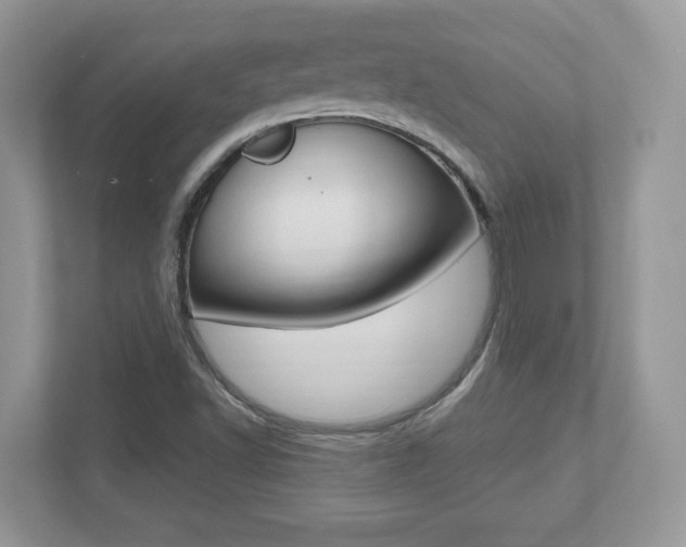 X0000112541502200908171155