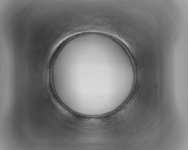X0000112541503200908171155