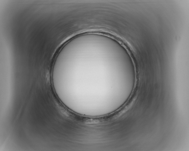 X0000112541505200908171155