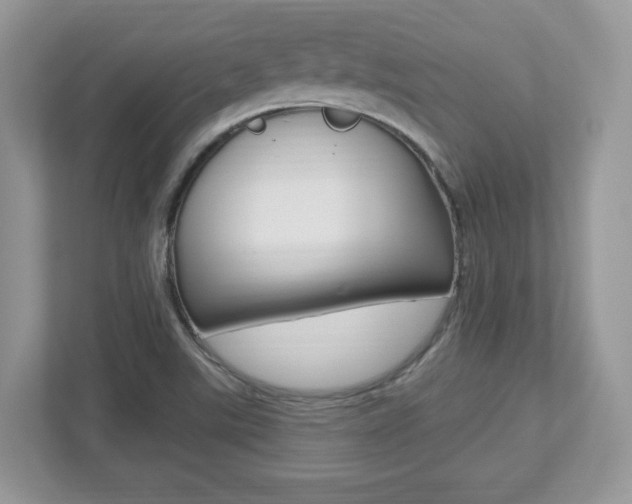 X0000112541507200908171155